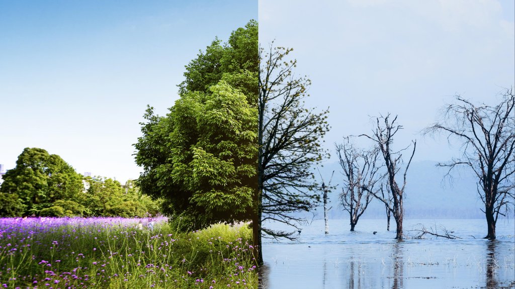 Opinion: “Facing Climate Change, Our Shared Responsibility”